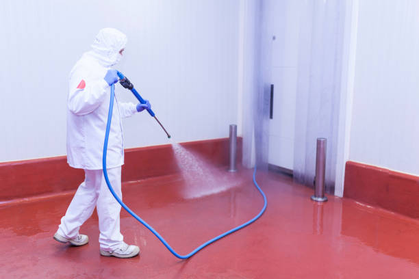 Best Paint Preparation  in Aberdeen, MD